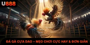 Đá Gà Cựa Dao – Săn Thưởng Lớn Với Mẹo Chơi Cực Hay & Đơn Giản