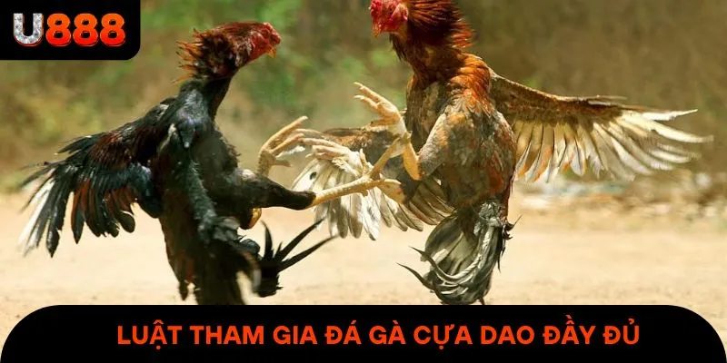 Luật tham gia đá gà cựa dao đầy đủ & rõ ràng