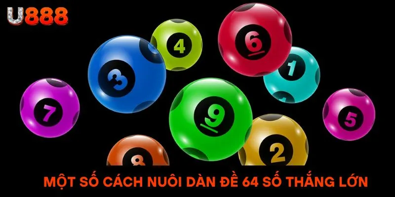 Một số cách nuôi dàn đề 64 số đạt hiệu quả cao & thắng lớn