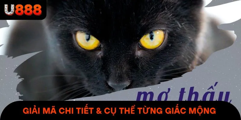 Giải mã chi tiết & cụ thể từng giấc mộng thấy mèo